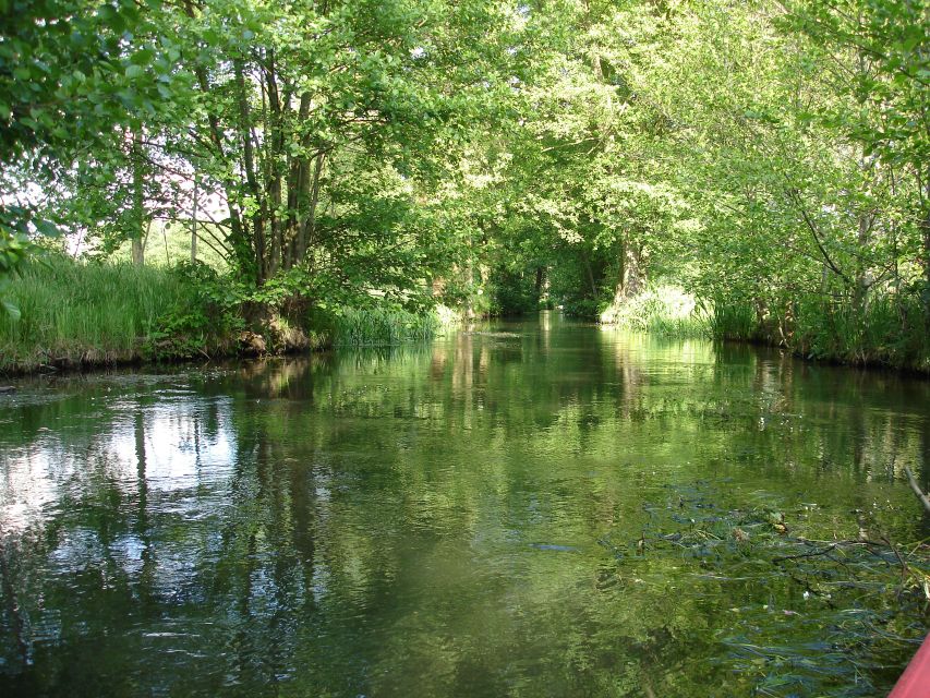 Leipzig: Riverside Forest Tour on the Pleisse - Experience Highlights