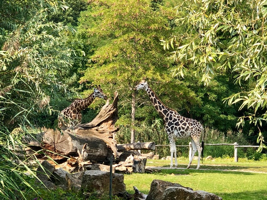 Leipzig: Segway Tour (Scenic Line With View & Animals) - Booking Information