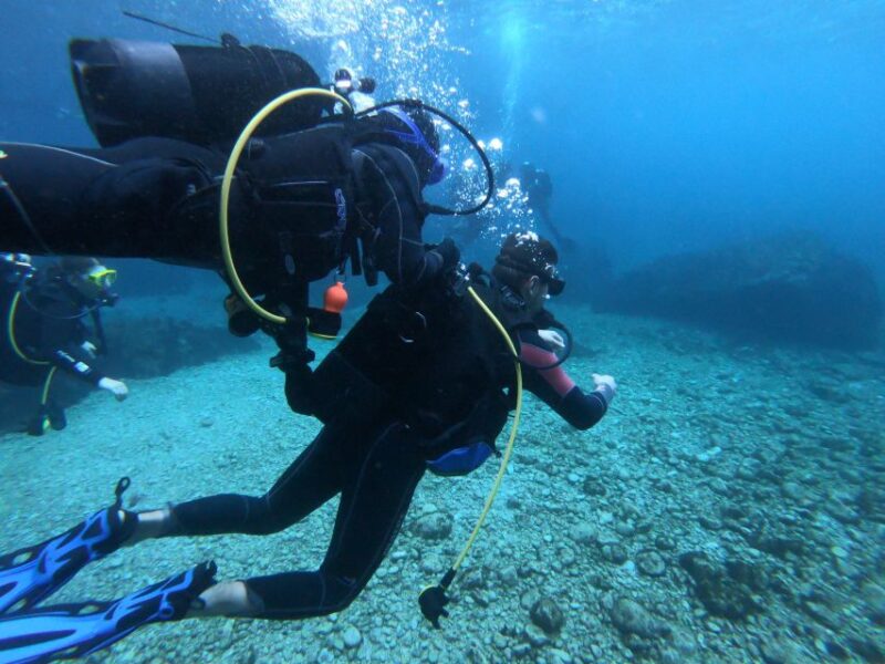 LEstartit: Dive and Snorkeling in Montgrí Natural Park - Experience Details