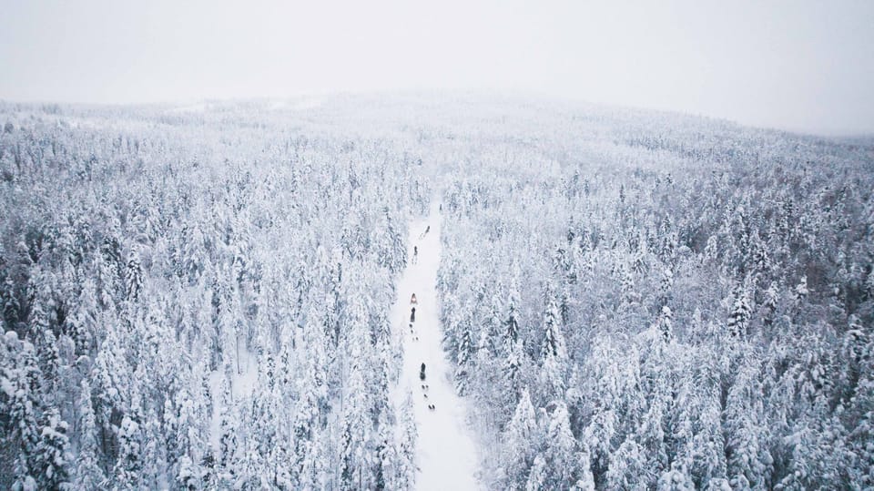 Levi: 15-Kilometres Self-Driving Husky Tour - Experience Highlights