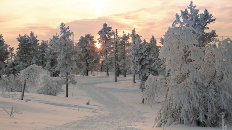 Levi: 4 Hour Snowmobile Safari to the Fells in Levi - Pricing Details