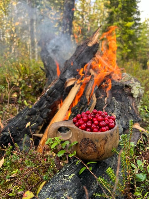 Levi: Autumn Hike and Reindeer Farm Visit - Itinerary Details