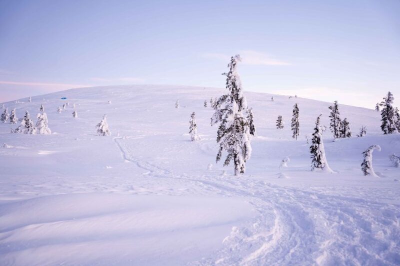 Levi: Backcountry Skiing Adventure - How to Book Your Adventure