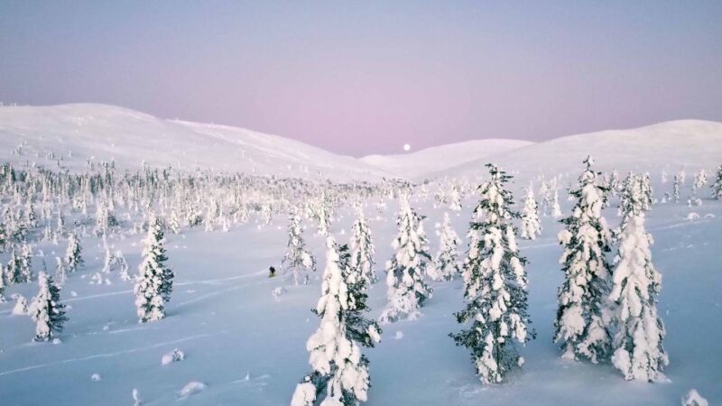 Levi: Explore the Wilderness - Pricing Details