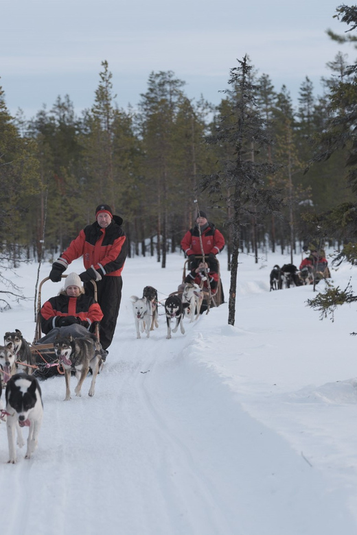 Levi: Follow the Elves – One Day Husky Safari - Detailed Itinerary