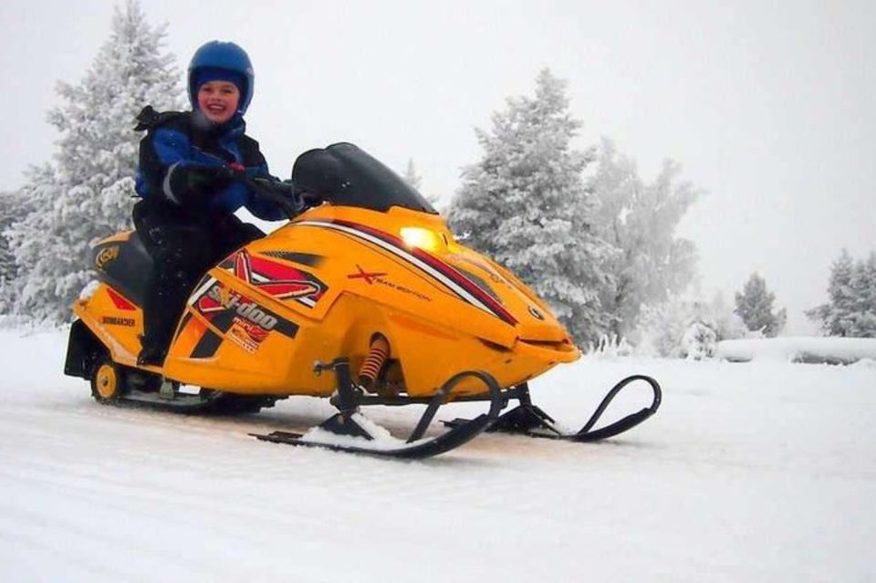 Levi: Lapland Family Snowmobile Safari - Pricing Details