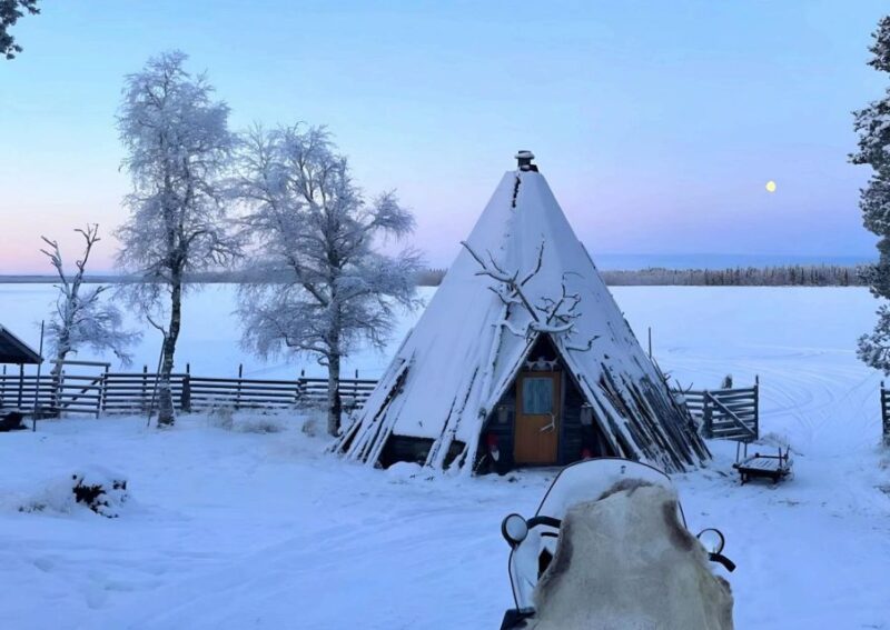 Levi: Lapland Reindeer Safari - Pricing and Duration