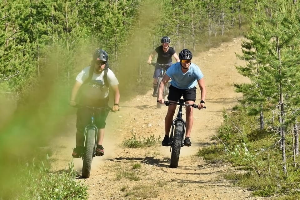 Levi: Pallastunturi National Park E-Fatbiking Tour - Experience Highlights