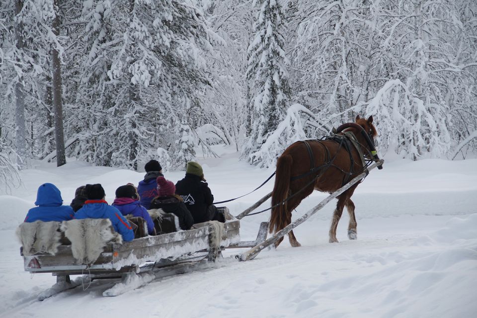 Levi, Polar Lights Tours: One Horse Open Sleigh Ride - Highlights of the Experience