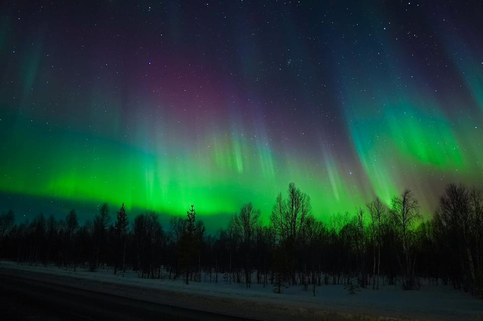 Levi: Private Tour With Guaranteed Northern Lights Sightings - Unique Experience