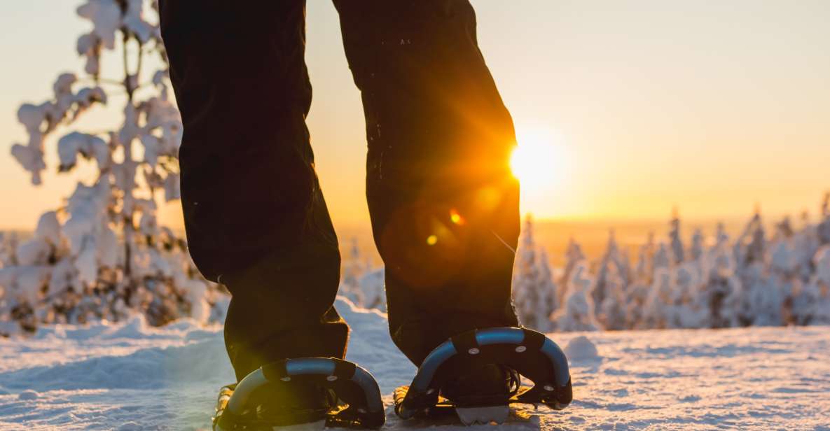 Levi: Scenic Levi Snowshoe Trip - Pricing Details and Booking Process