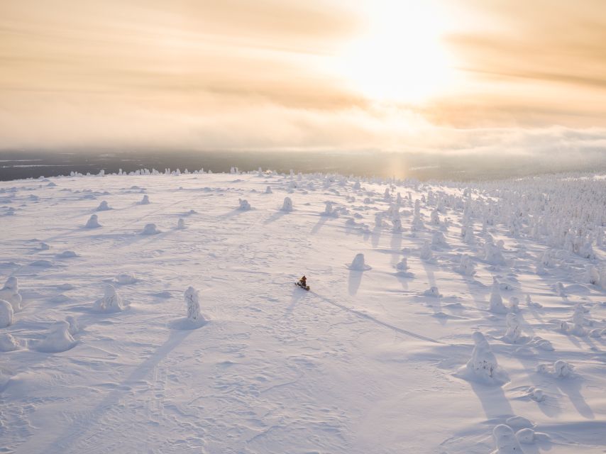 Levi: Snowmobiling Adventure - Guided Tour Experience