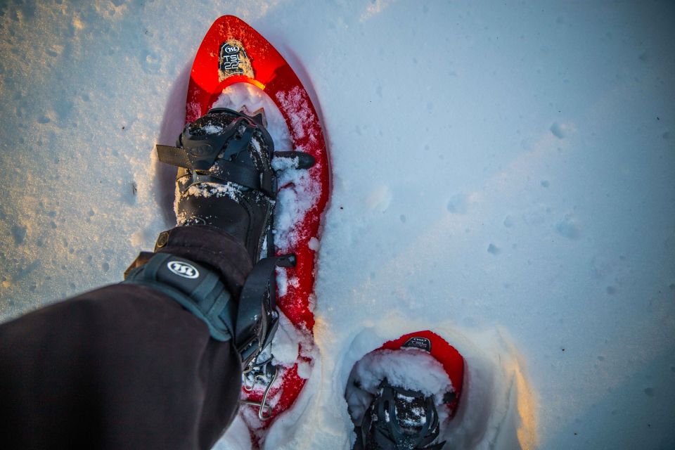 Levi: Snowshoe Adventure in the Wilderness - Unique Snowshoeing Experience