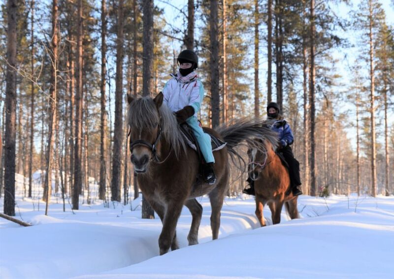 Levi: Snowy Forest Ride and Polar Lights Tours - Itinerary and Duration