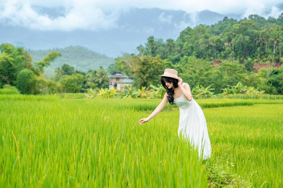 Limousine Bus From Hanoi to Mai Chau - Bus Features