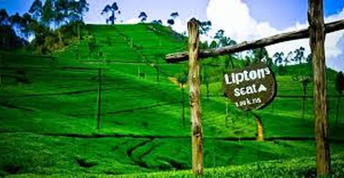 Liptons Seat and Tea Factory & Tea Plantation Day Tour - Itinerary Highlights