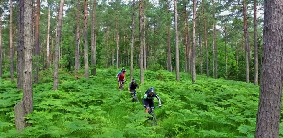 Ljubljana: City Center and Golovec Trails Mountain Bike Tour - Highlights of Ljubljana