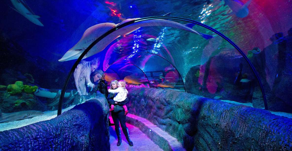 Loch Lomond: Sea Life Entrance Ticket - Experience Highlights