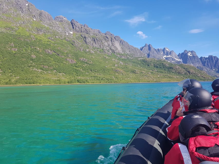 Lofoten: Trollfjord Sea Eagle Safari By RIB Boat