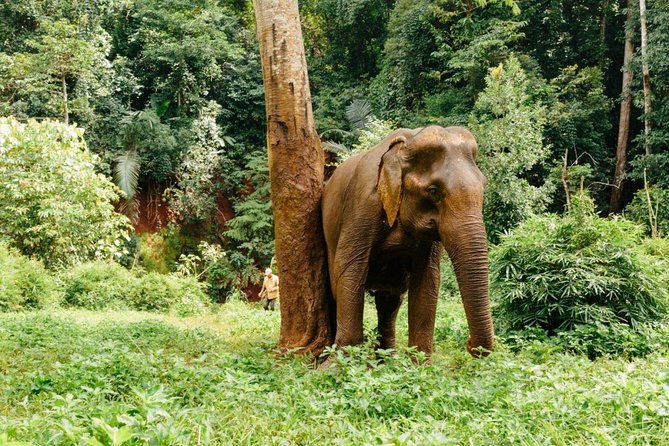 Lombok Wildlife Park Skip the Line Ticket - Visitor Admission Details