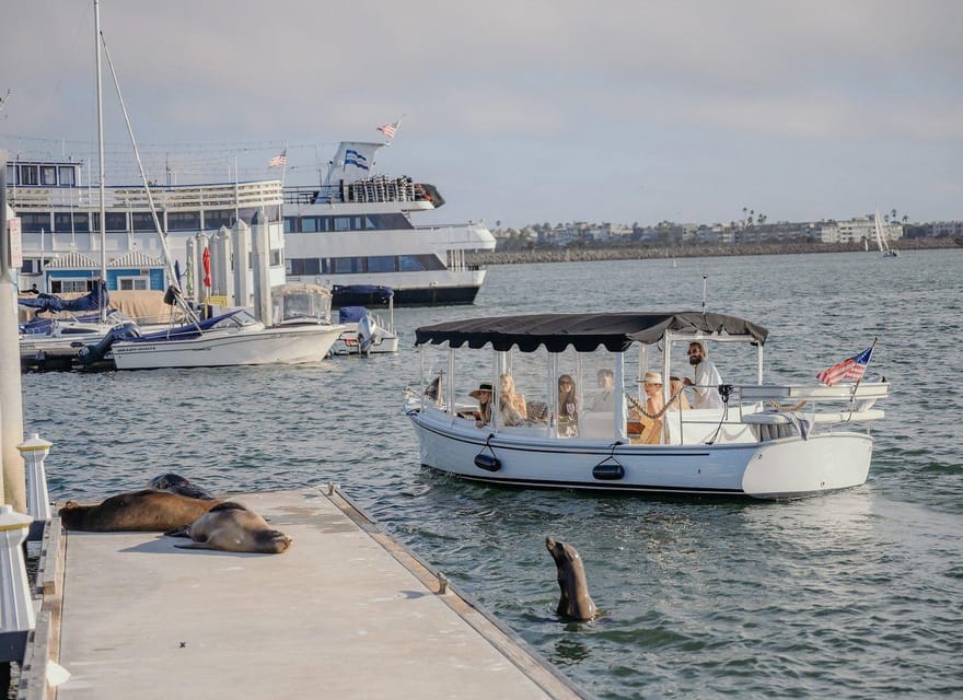 Los Angeles; Dog Friendly Tour - Boating, Kayaking, Ceramics - Transportation Options