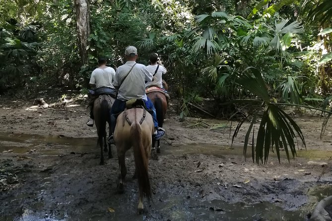 Los Naranjos Beach Horseback Riding Tayrona Park. - Scenic Forest Paths and River Riding