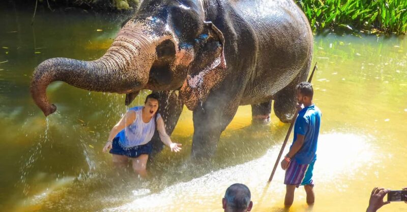 Luang Prabang Elepphant Keeper Bathe Option Kuangsi Tour - Itinerary Details