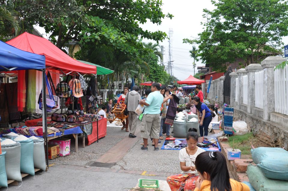 Luang Prabang: Local Village & Kuang Si Falls Private Tour - Itinerary Highlights