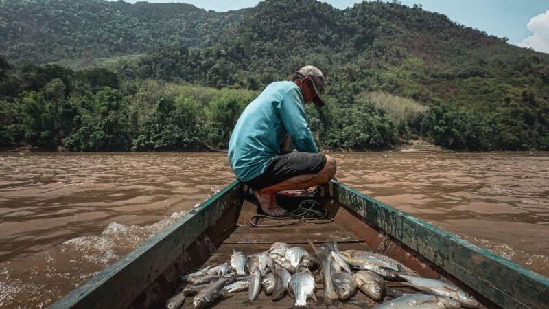 Luang Prabang: Mekong Fishing With a Local Fisherman & Lunch - Itinerary Details