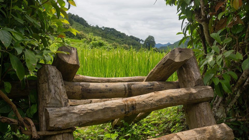 Luang Prabang: Village Trek & Nam Khan River Kayak Tour - Itinerary Highlights