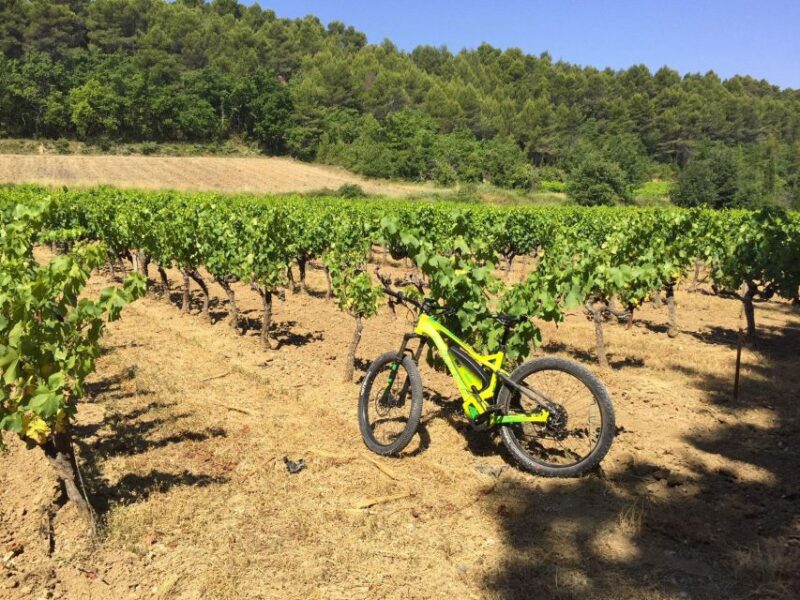 Luberon: Goult Vineyard Bike Tour - Booking Information