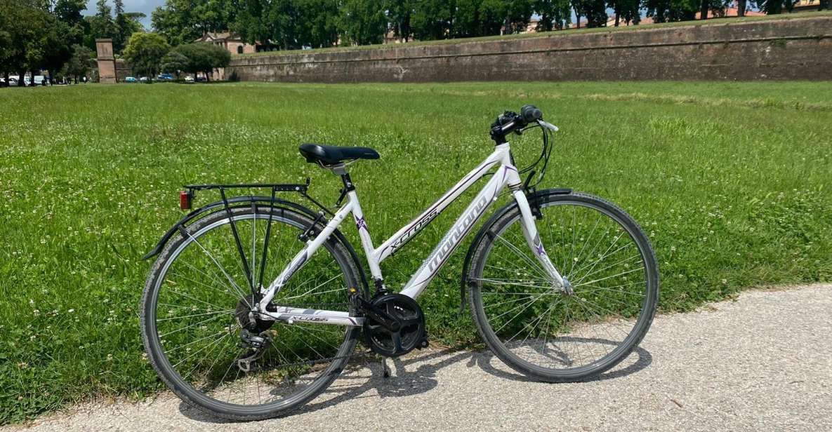 Lucca: Trekking Bike Rental - Features of Trekking Bikes