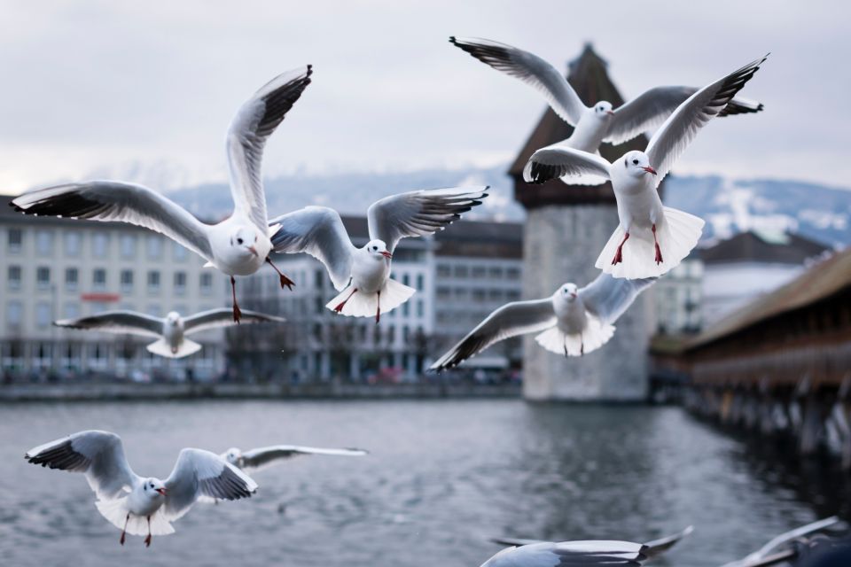 Lucerne: First Discovery Walk and Reading Walking Tour - Tour Itinerary