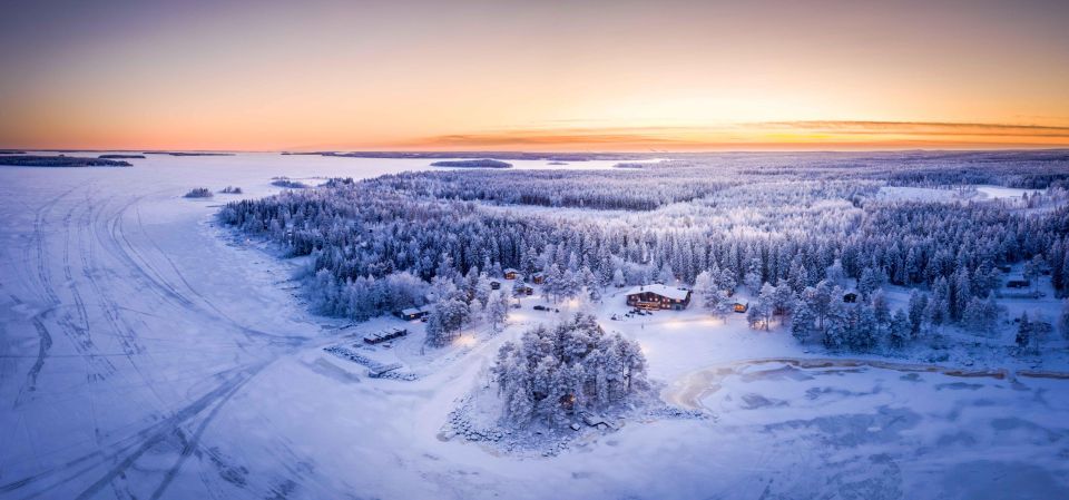 Luleå : Snowmobile - Forest and Ice Nature Tour 2h - Experience and Highlights