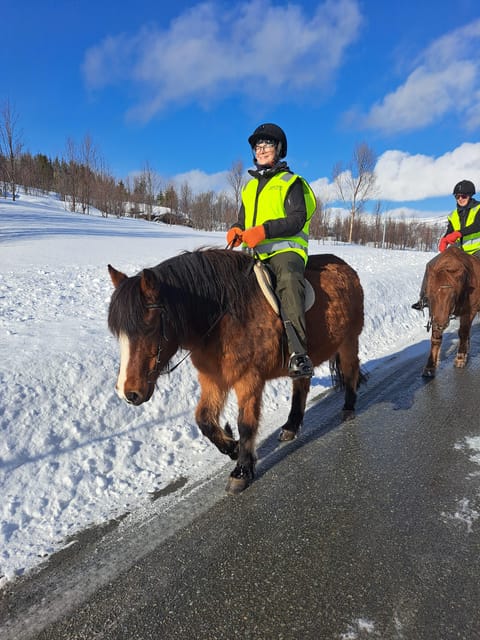 Lyngen Horseback Winter Riding Experience - Itinerary and Highlights