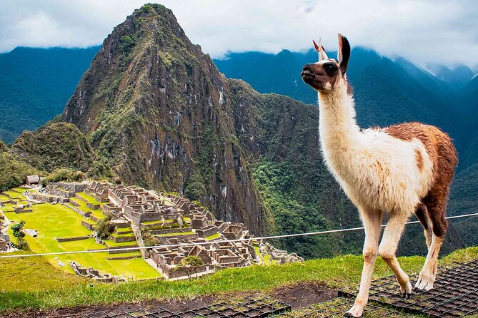 Machu Picchu Day Trip From Ollantaytambo & Urubamba - Itinerary and Transportation