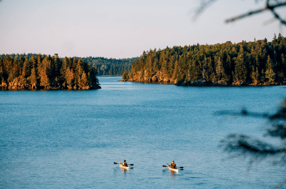 Maine: Half-Day Double Kayak Rental - Booking and Cancellation