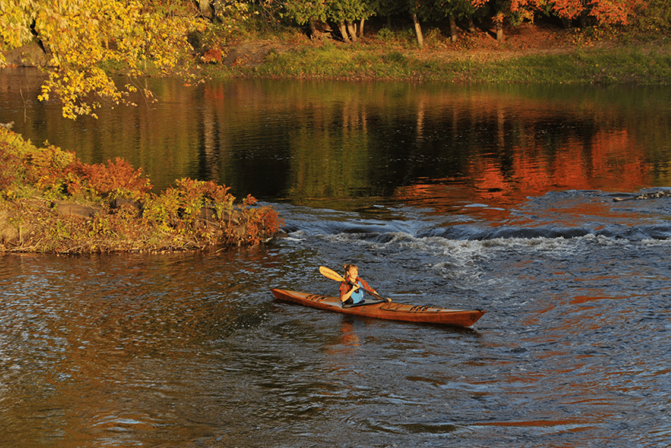 Maine: Half-Day Single Kayak Rental - Meeting Point and What to Bring