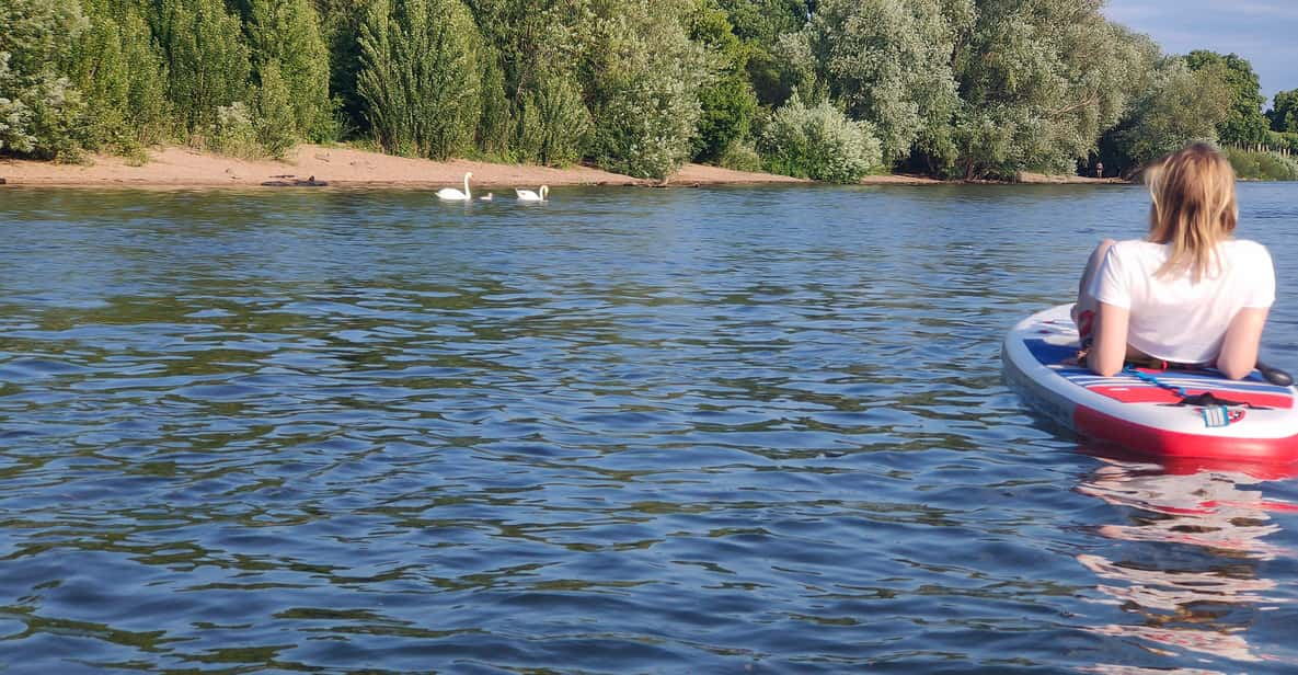 Mainz: Stand Up Paddling Tour on the Rhine River - Experience Highlights