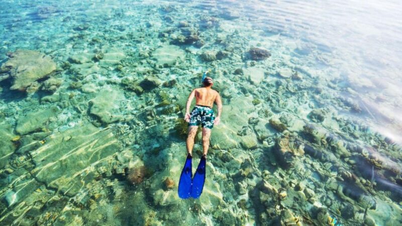 Maio: Reef Snorkeling - Pricing and Reservation