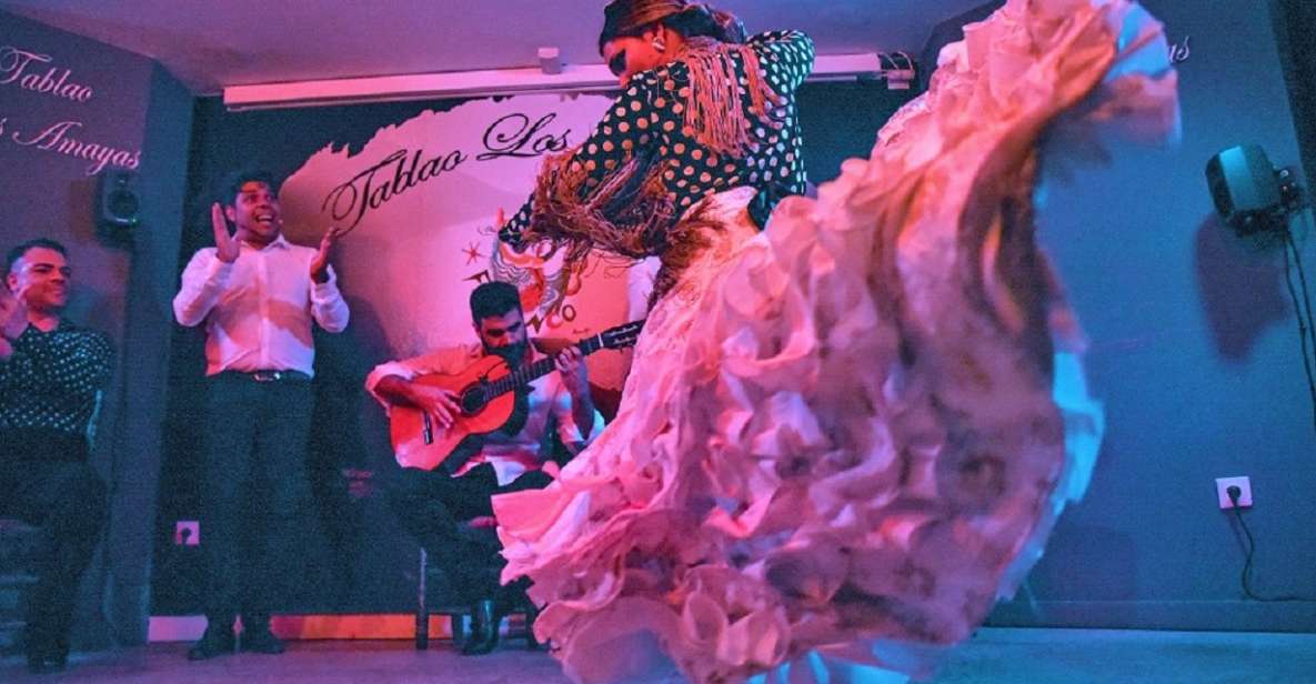 Málaga: Flamenco and City Highlights Guided Tour - Flamenco Exploration