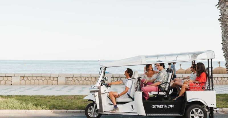 Malaga: Private City Tour by Eco Tuk Tuk - Tour Highlights and Itinerary