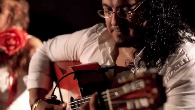 Malaga: Tapas and Wine Tasting Tour With Flamenco Show - Experience Details