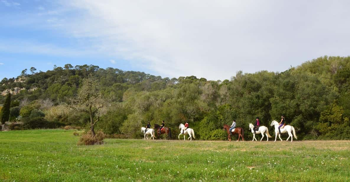 Mallorca: Activity, Antique Mallorca With Picnic - Picnic and Refreshments