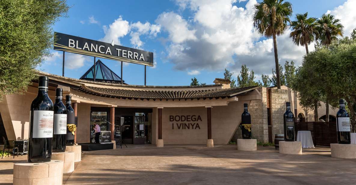 Mallorca: Blanca Terra Bodega Ticket - Optional Wine Tasting - Experience at Blanca Terra Winery