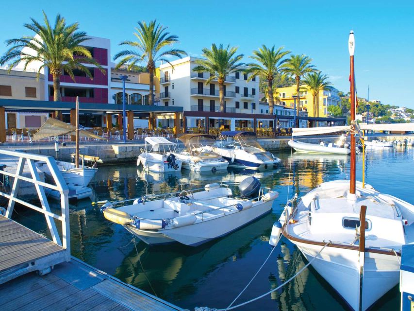 Mallorca: Catamaran Coastal Cruise With Lunch - Experience Highlights