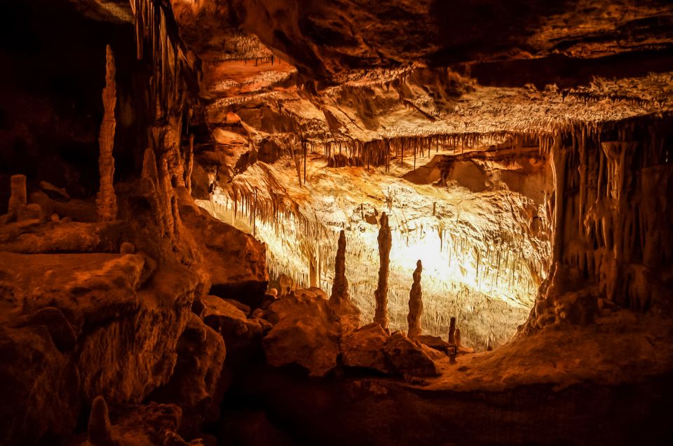 Mallorca: Caves of Drach Tour From the North With Boat Trip - Booking and Cancellation