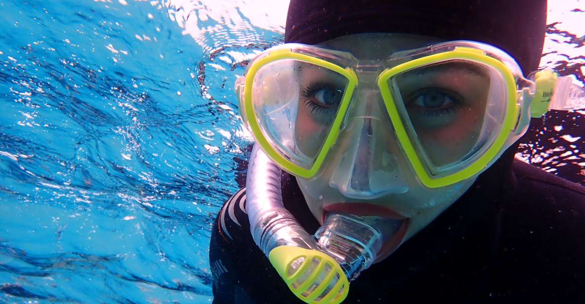 Mallorca: Snorkeling in a Beautiful Nature Reserve - Explore the Underwater World