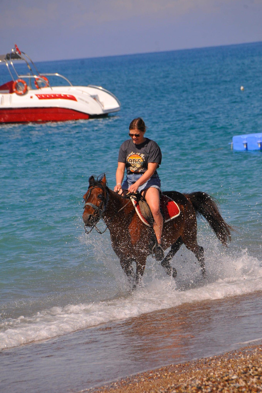 Manavgat Side: Horse Riding on the Beach and in the Forest - Booking Process