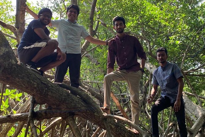 Mangrove Adventure - Unique Ecosystem Exploration